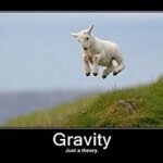 2543882652_36bc4cea78_m