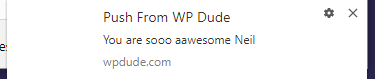 wordpress web push notification